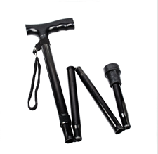 Picture of Walking Stick