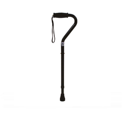Walking Stick - Metal